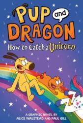 How to Catch Graphic Novels: How to Catch a Unicorn (ISBN: 9781728239514)