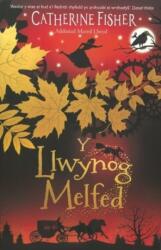 Y Llwynog Melfed (ISBN: 9781915444752)