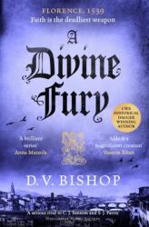 A Divine Fury (ISBN: 9781529096545)