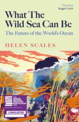 What the Wild Sea Can Be (ISBN: 9781804710500)