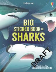 Big Sticker Book of Sharks (ISBN: 9781805072775)