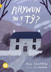 Cyfres Amdani: Rhywun yn y Ty? (ISBN: 9781801064262)