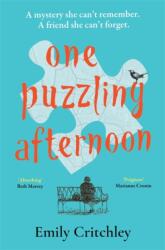 One Puzzling Afternoon (ISBN: 9781804181287)