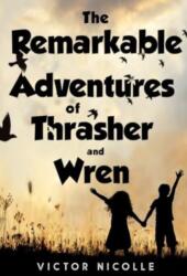 The Remarkable Adventures Of Thrasher And Wren (ISBN: 9781837941360)