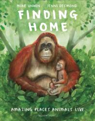 Finding Home (ISBN: 9781526638281)