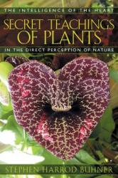 Secret Teachings of Plants - Stephen Harrod Buhner (ISBN: 9781591430353)