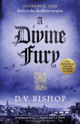 A Divine Fury (ISBN: 9781529096538)