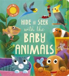 Hide and Seek with the Baby Animals (ISBN: 9781801043533)