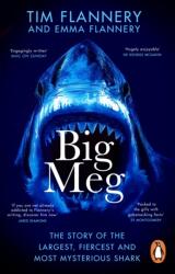 Big Meg (ISBN: 9781804992265)