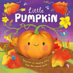 Little Pumpkin (ISBN: 9781803686462)