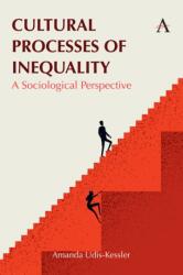 Cultural Processes of Inequality (ISBN: 9781839989513)