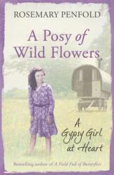 A Posy of Wild Flowers (ISBN: 9781409138372)