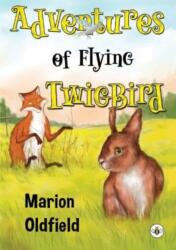Adventures of Flying TwigBird (ISBN: 9781839348556)