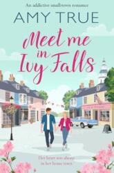 Meet Me in Ivy Falls (ISBN: 9781804366837)
