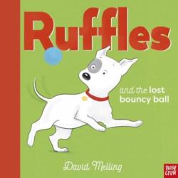 Ruffles and the Lost Bouncy Ball (ISBN: 9781839945960)