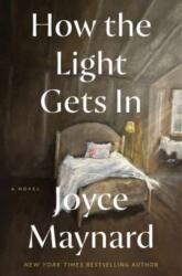 How the Light Gets In (ISBN: 9780062398307)