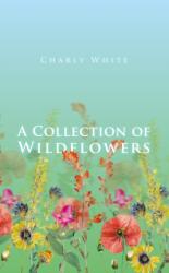 A Collection of Wildflowers (ISBN: 9781912092291)