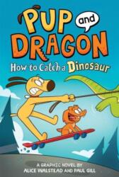 How to Catch Graphic Novels: How to Catch a Dinosaur (ISBN: 9781728239545)