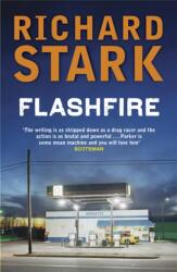 Flashfire (ISBN: 9781847242105)