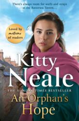 An Orphan's Hope (ISBN: 9781398713697)