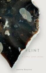 Flint (ISBN: 9781785634086)