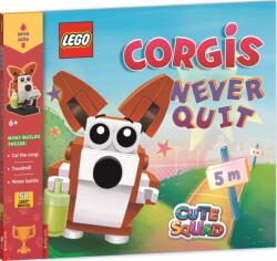 LEGO (ISBN: 9781837250332)