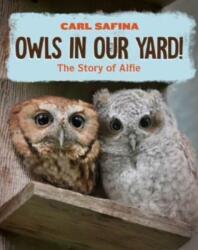 Owls in Our Yard! (ISBN: 9781324053194)