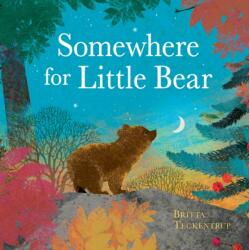 Somewhere for Little Bear (ISBN: 9781408359723)