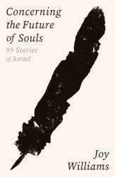 Concerning the Future of Souls (ISBN: 9781805222538)