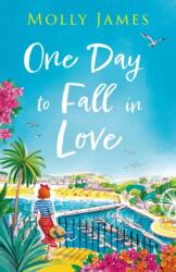 One Day to Fall in Love (ISBN: 9781529427011)