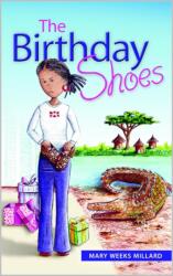 The Birthday Shoes (ISBN: 9781912457182)