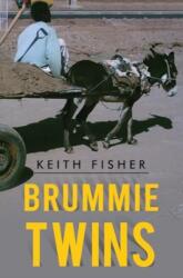 Brummie Twins (ISBN: 9781837942732)