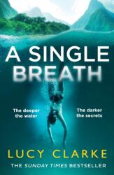Single Breath. Der Sommer, in dem es zu schneien begann, englische Ausgabe (ISBN: 9780007481361)