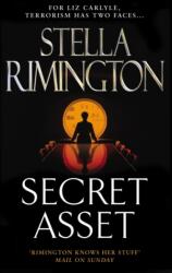 Secret Asset (ISBN: 9780099472599)