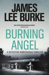Burning Angel (ISBN: 9781409126997)