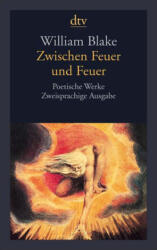 Zwischen Feuer und Feuer (ISBN: 9783423135993)