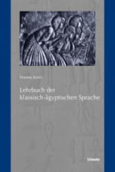 Lehrbuch der klassisch-ägyptischen Sprache (ISBN: 9783796526695)