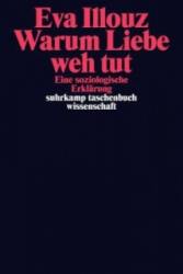 Warum Liebe weh tut (ISBN: 9783518296578)