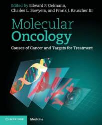 Molecular Oncology - Edward P. GelmannCharles L. SawyersFrank J. Rauscher III (2013)
