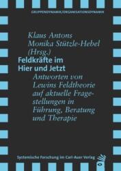 Feldkräfte im Hier und Jetzt (ISBN: 9783896709912)