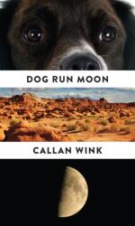 Dog Run Moon (ISBN: 9781847088147)