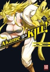 Akame ga KILL! . Vol. 3 (ISBN: 9782889217410)
