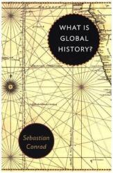 What Is Global History? (ISBN: 9780691178196)