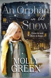 An Orphan In The Snow (ISBN: 9780008238940)