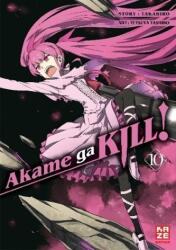 Akame ga KILL! . Bd. 10 - Takahiro, Tetsuya Tashiro, Antje Bockel (ISBN: 9782889217489)