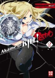 Akame ga KILL! ZERO 02 (ISBN: 9782889511181)