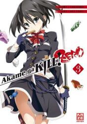 Akame ga KILL! ZERO 03 (ISBN: 9782889511198)