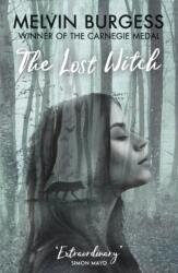The Lost Witch (ISBN: 9781783448357)