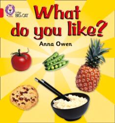 What Do You Like? (ISBN: 9780007185641)