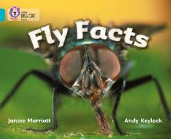 Fly Facts (ISBN: 9780007186082)